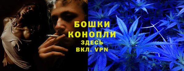 тгк Каменск-Шахтинский