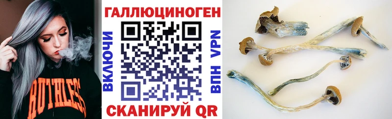 Галлюциногенные грибы мицелий  Котельниково 